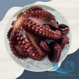 About Octopus Indonesia